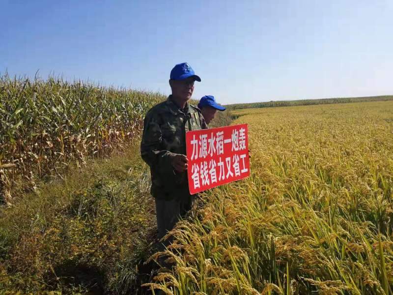 &#20048;&#40060;