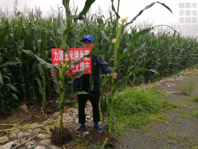 &#20048;&#40060;